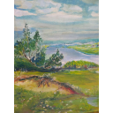 Картина Поле, художник Селиверстов 2011 год, холст, масло